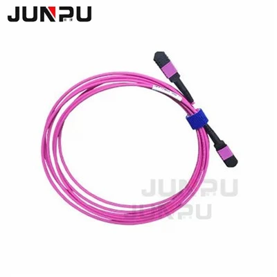 SM Optic Patch Cord